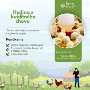green-illustrative-poultry-farm-business-instagram-post.png
